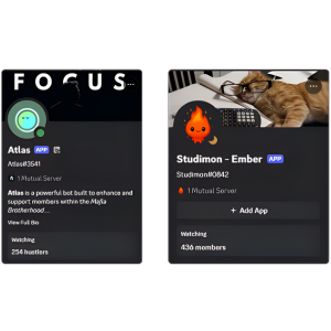 Community Bot Interface